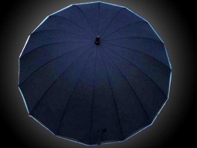 Rain Light Umbrella